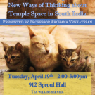A flyer for "Cats in Temples: New Ways of Thinking about Temple Space in South India"